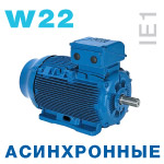 Асинхронные трехфазные электродвигатели WEG серии W22 IE1