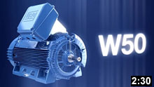 Низковольтные и высоковольтные электродвигатели серии W50