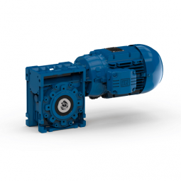 Worm geared motors - Serie W